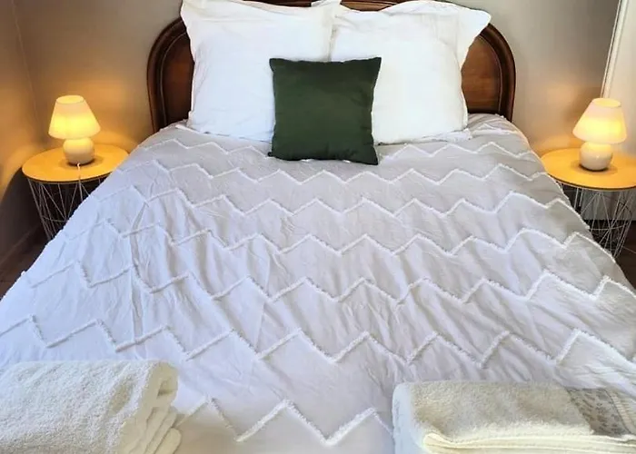 公寓 Le Nid 南特